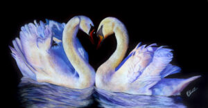 Swans