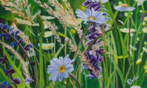 Wild Flowers