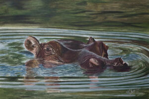 Hippo