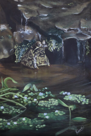 Garden Frog