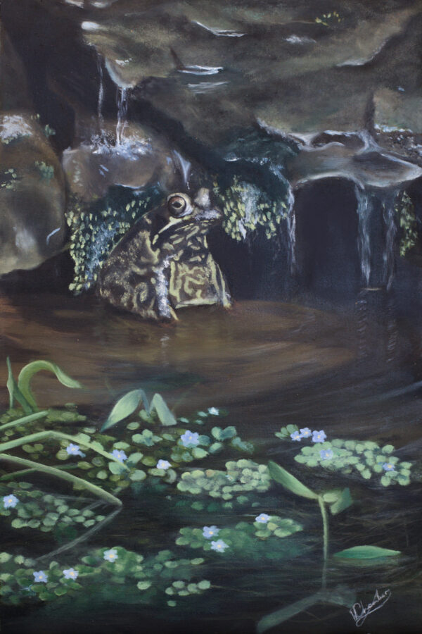 Garden Frog