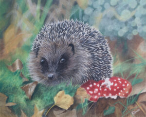 Hedgehog