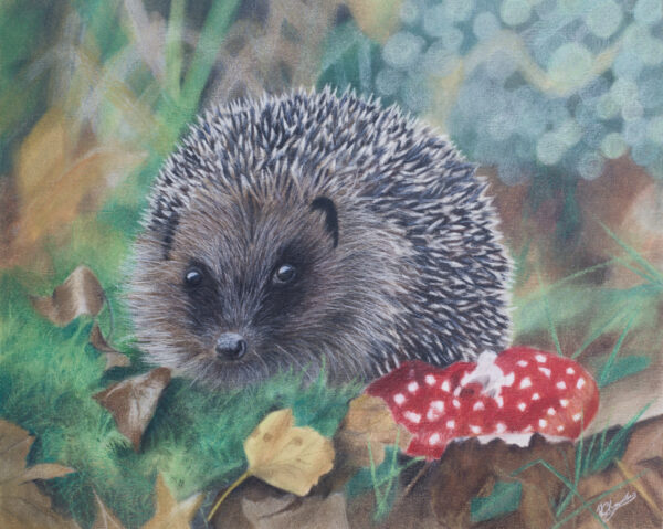 Hedgehog