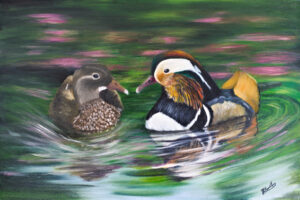 Mandarin Ducks