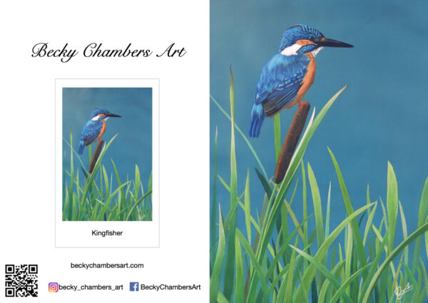 Kingfisher - Image 2