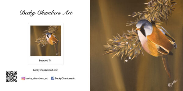 Bearded Tit - Image 2