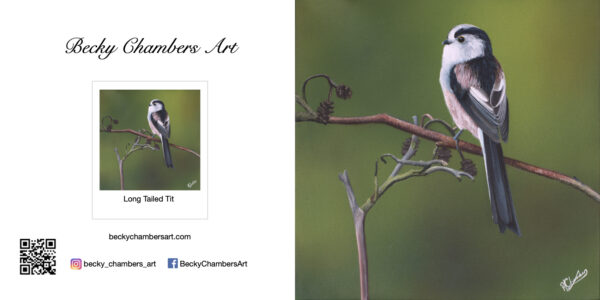 Long Tailed Tit - Image 2