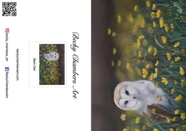 Barn Owl Buttercups - Image 2