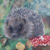 Hedgehog