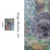 Hedgehog - Image 2