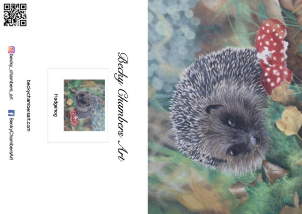 Hedgehog - Image 2