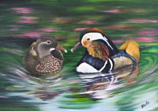 Mandarin Ducks