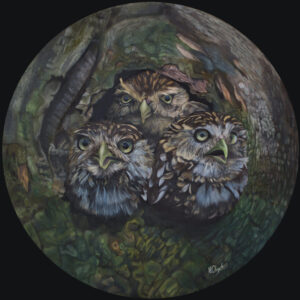 Little Owls